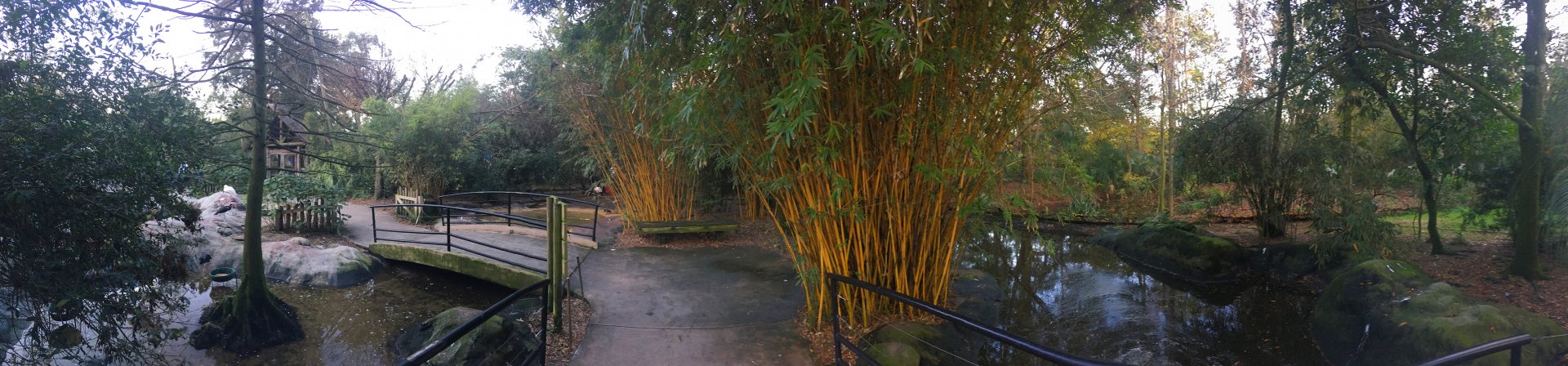 River Valley Aviary Bridge View