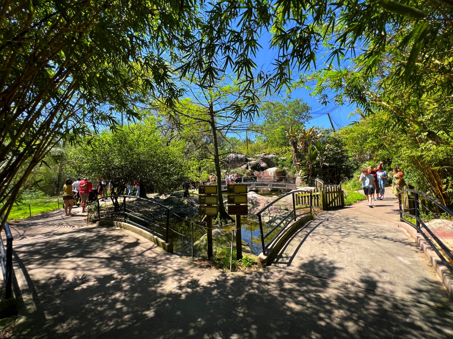 River Valley Aviary Corner View