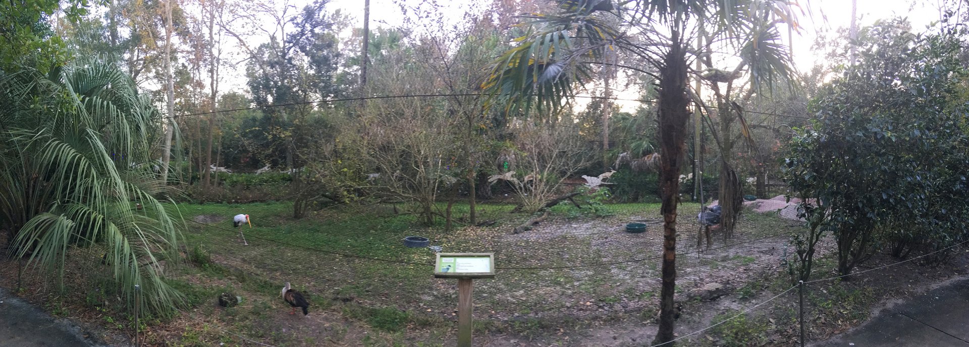 River Valley Aviary Large Free Flight Exhibit