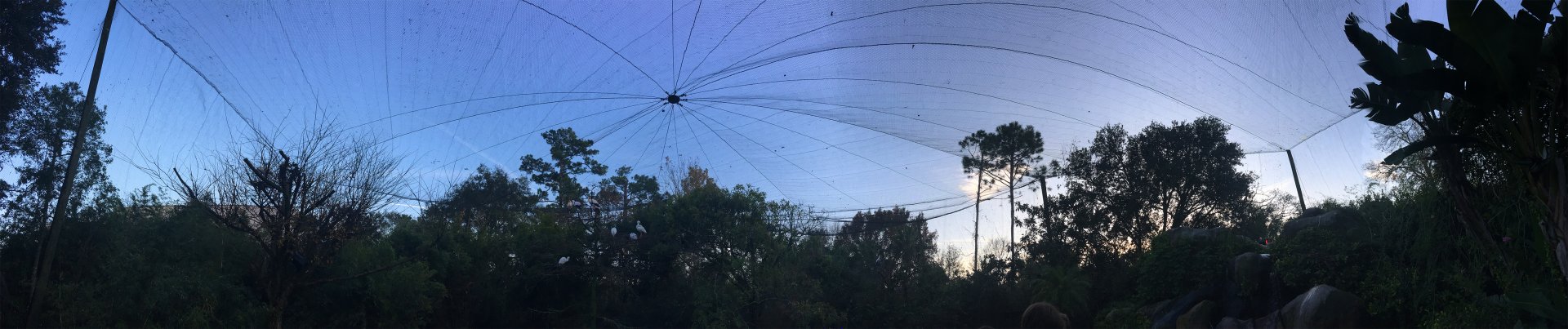 River Valley Aviary Netting Canopy System