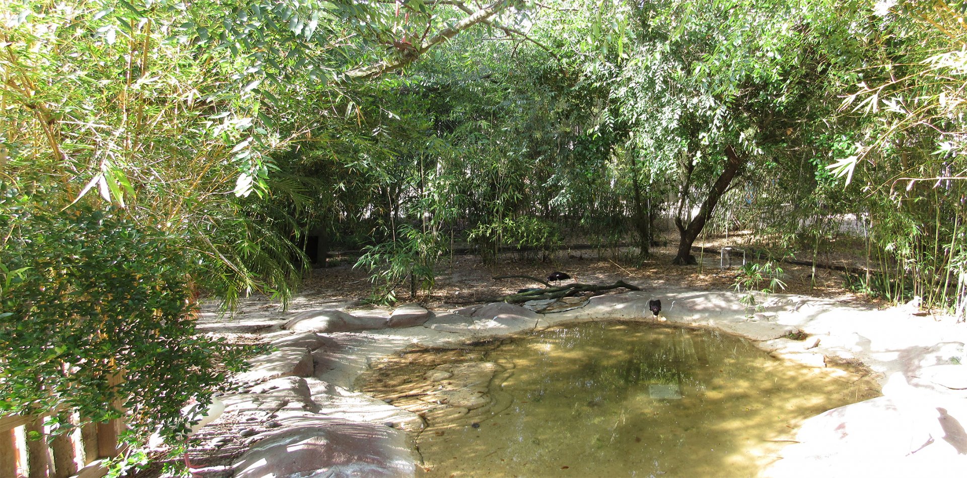 River Valley Aviary Pond
