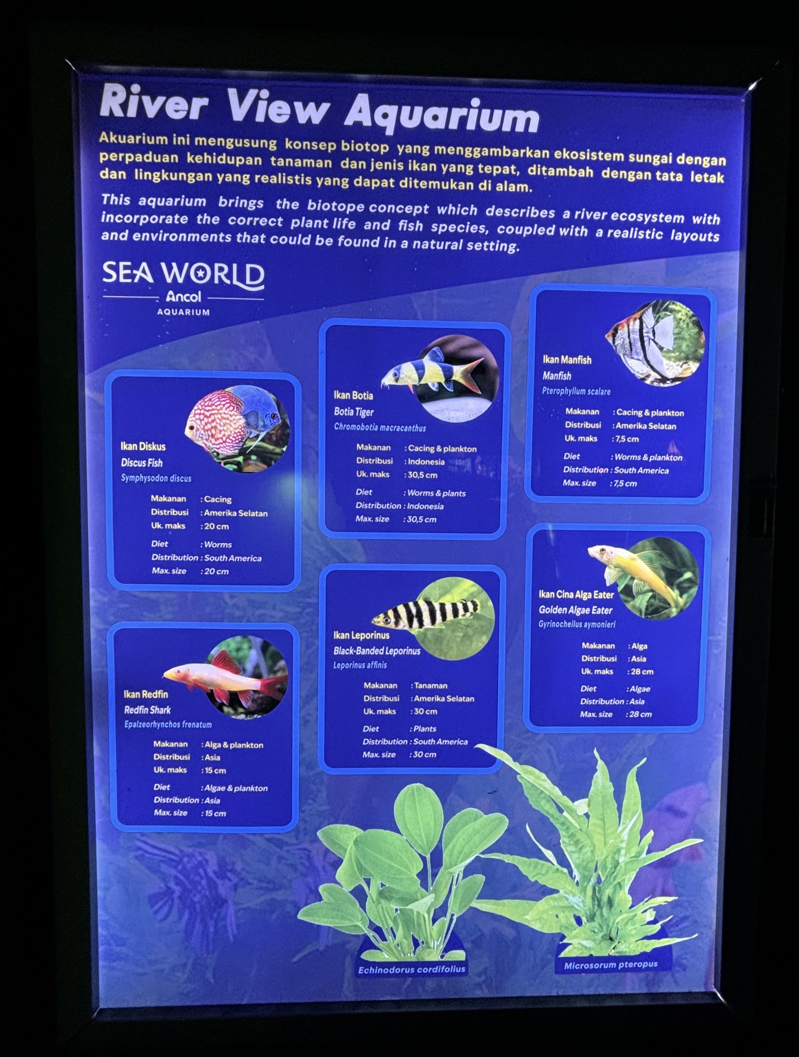 River View Aquarium - Species List
