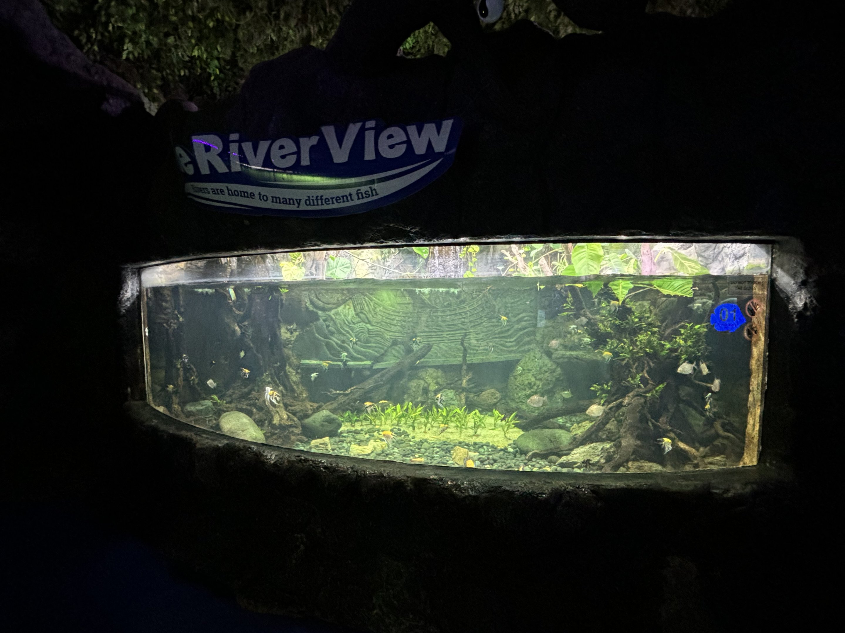 River View Aquarium Tank