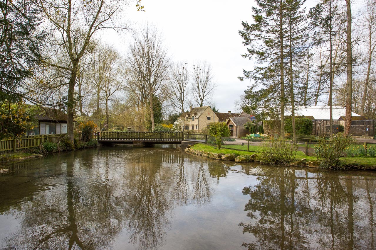 River Windrush : Birdland : 19 Apr 2015