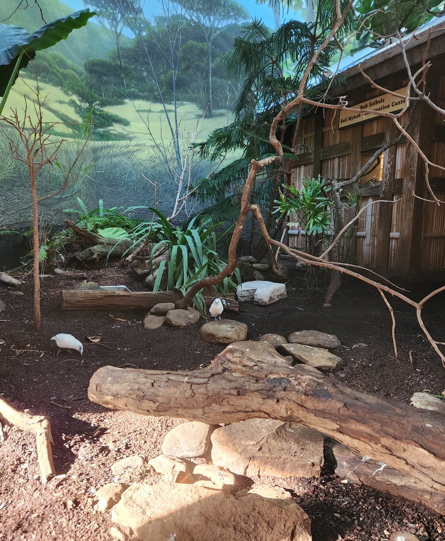 Riverbanks Zoo (2023) - Asian Birds exhibit (Birdhouse)