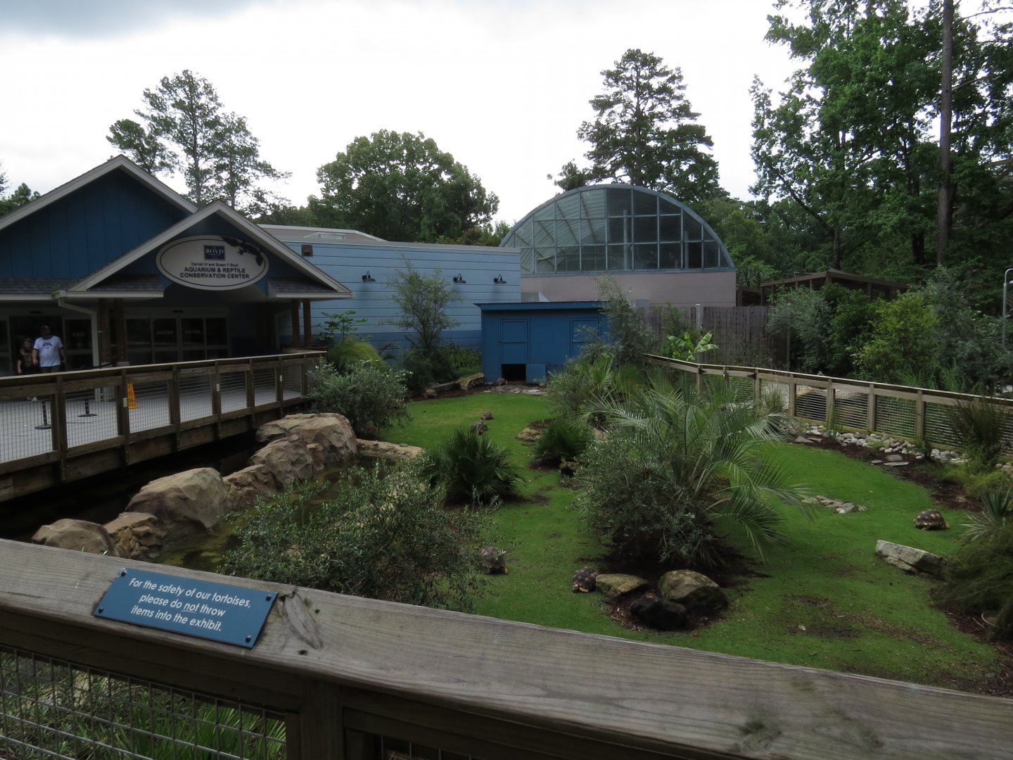Riverbanks Zoo & Garden 06/14/2025 Radiated Tortoise Yard