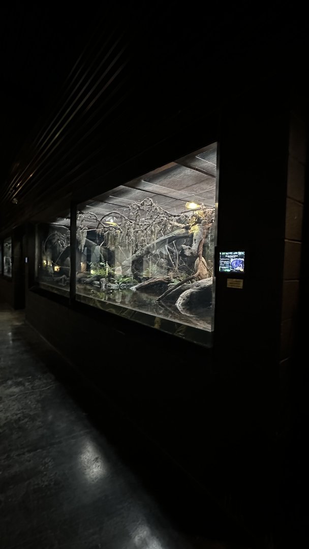 Riverine Forest Wetland Terrarium