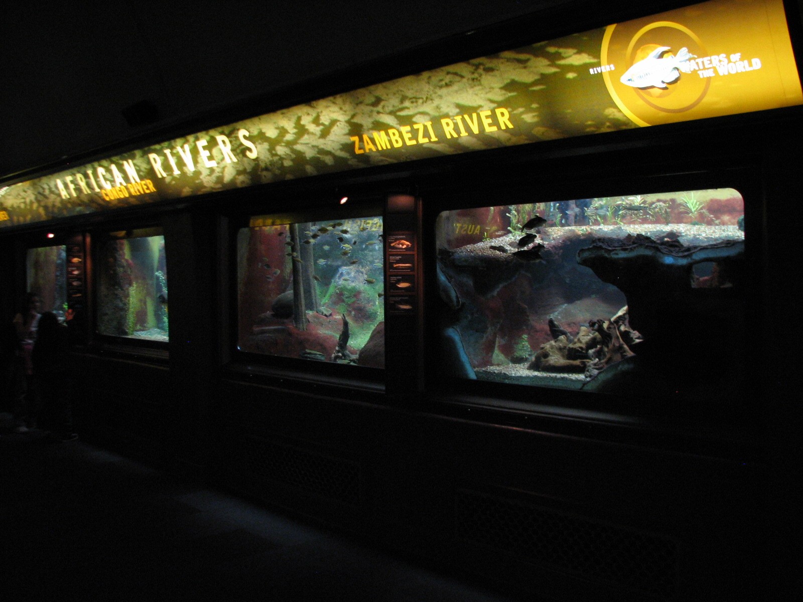 Rivers - African Rivers Exhibits