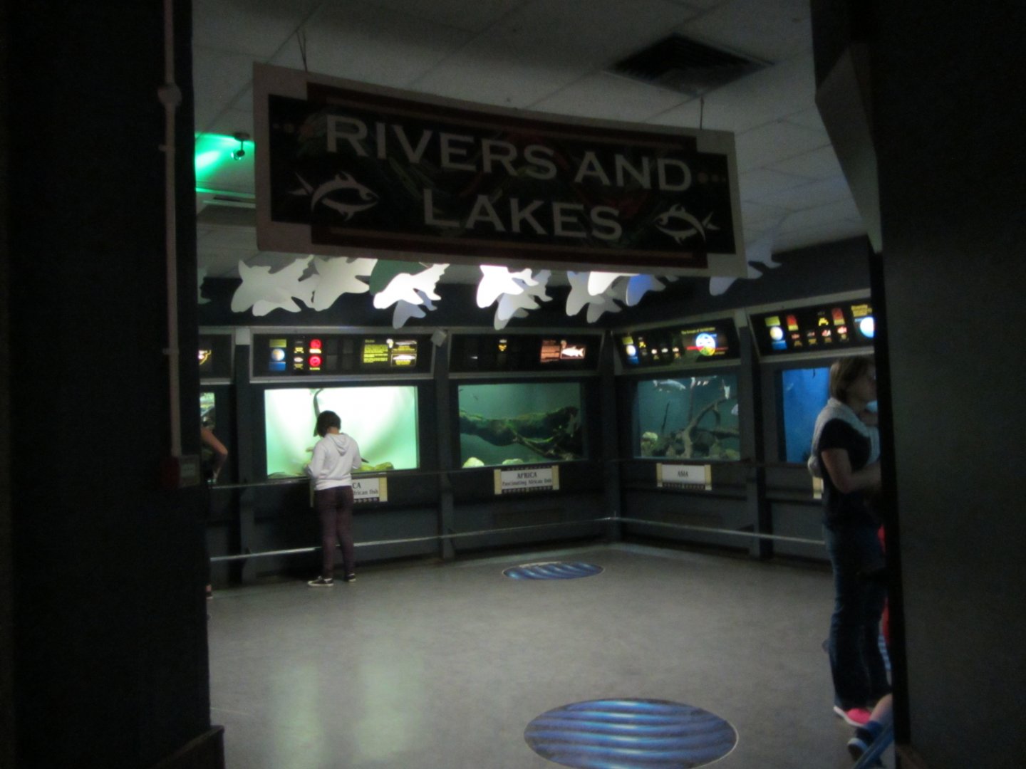 "Rivers and Lakes" Gallery in the Aquarium