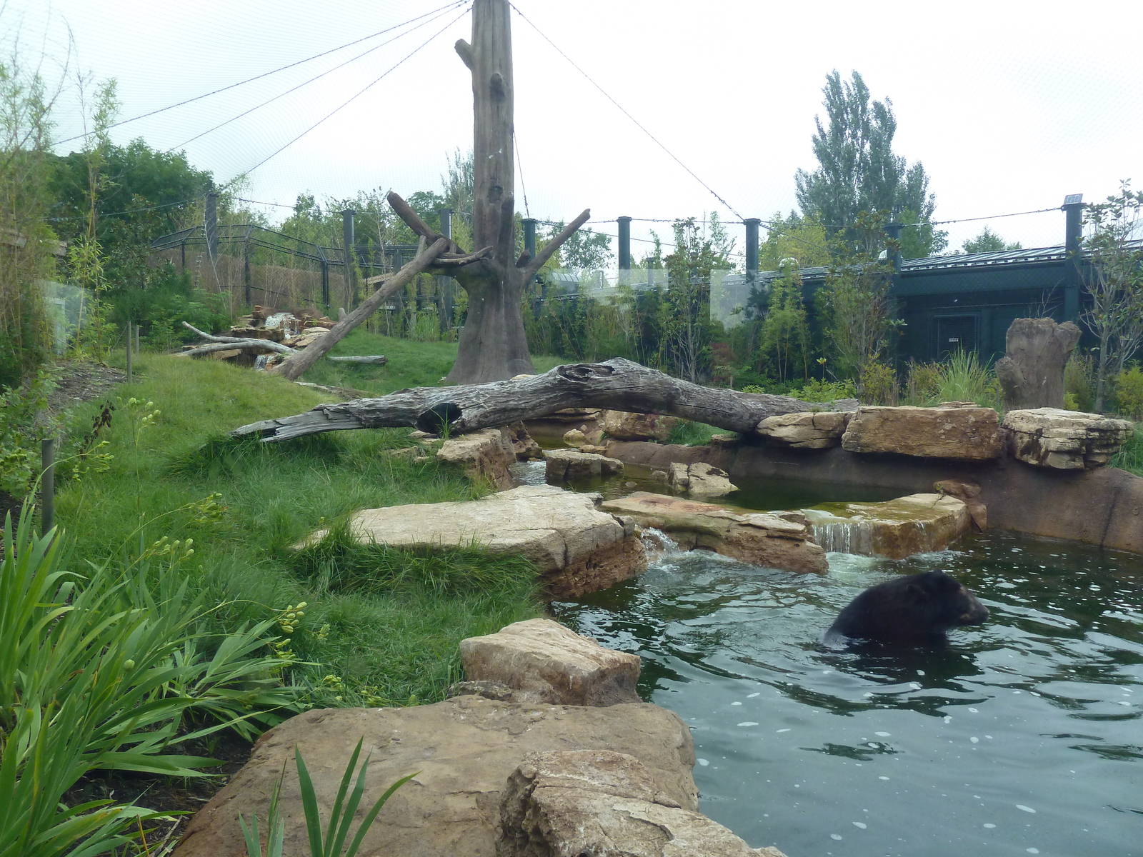 River's Edge - Andean Bear Range (New in 2014)