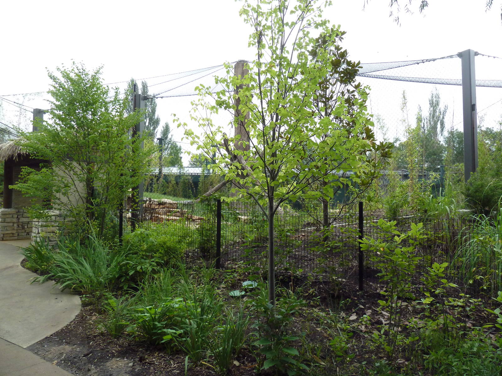 River's Edge - Andean Bear Range (New in 2014)