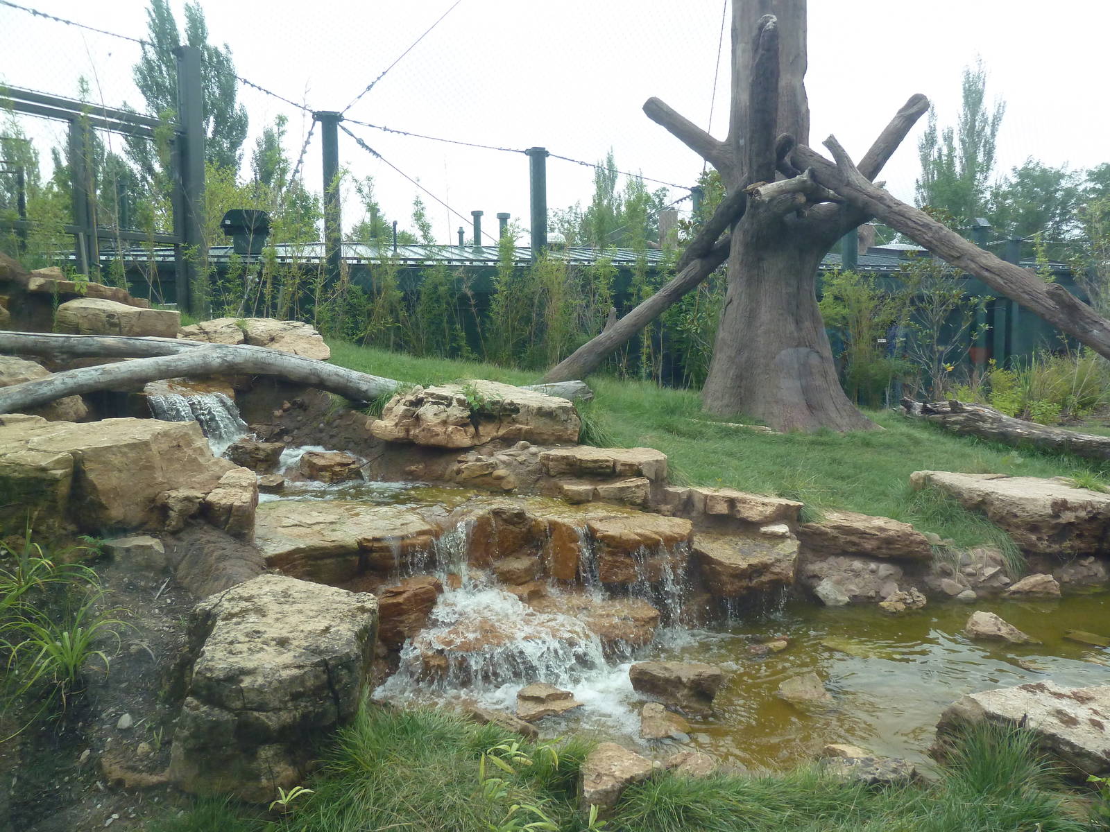 River's Edge - Andean Bear Range (New in 2014)