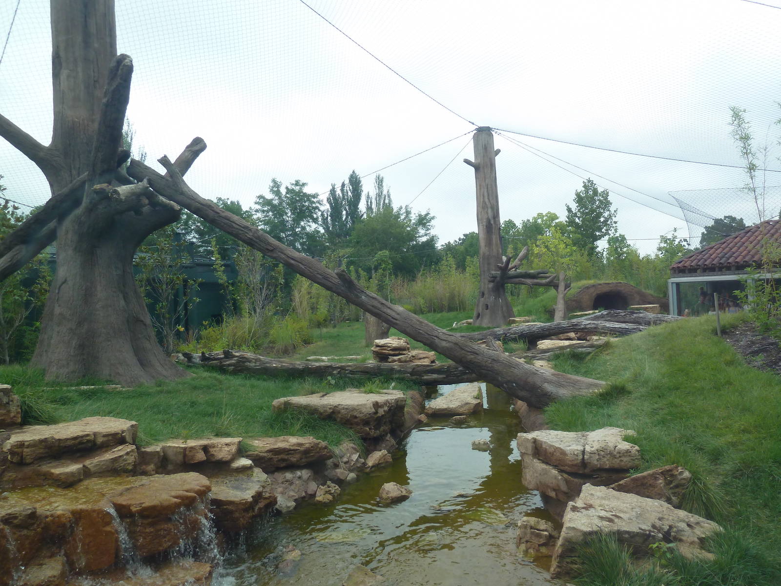 River's Edge - Andean Bear Range (New in 2014)