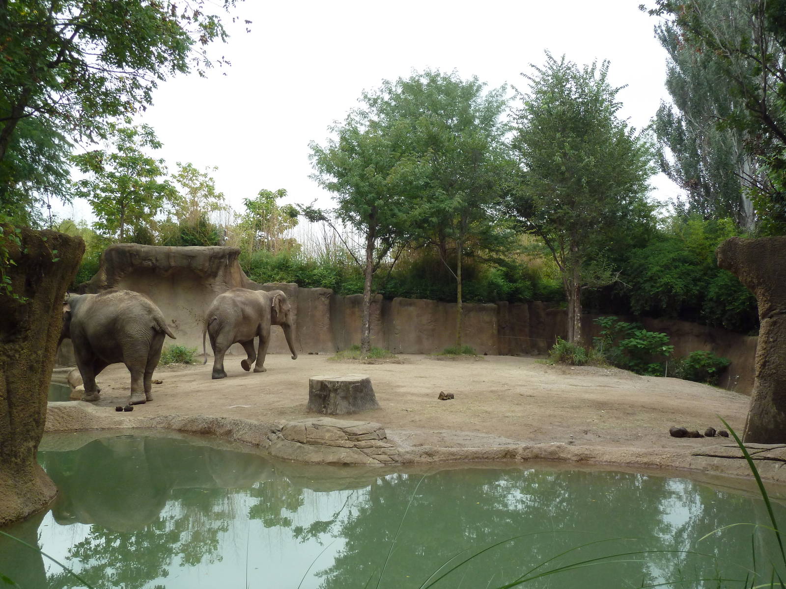 River's Edge - Asian Elephant Exhibit (1 of 4 Enclosures)