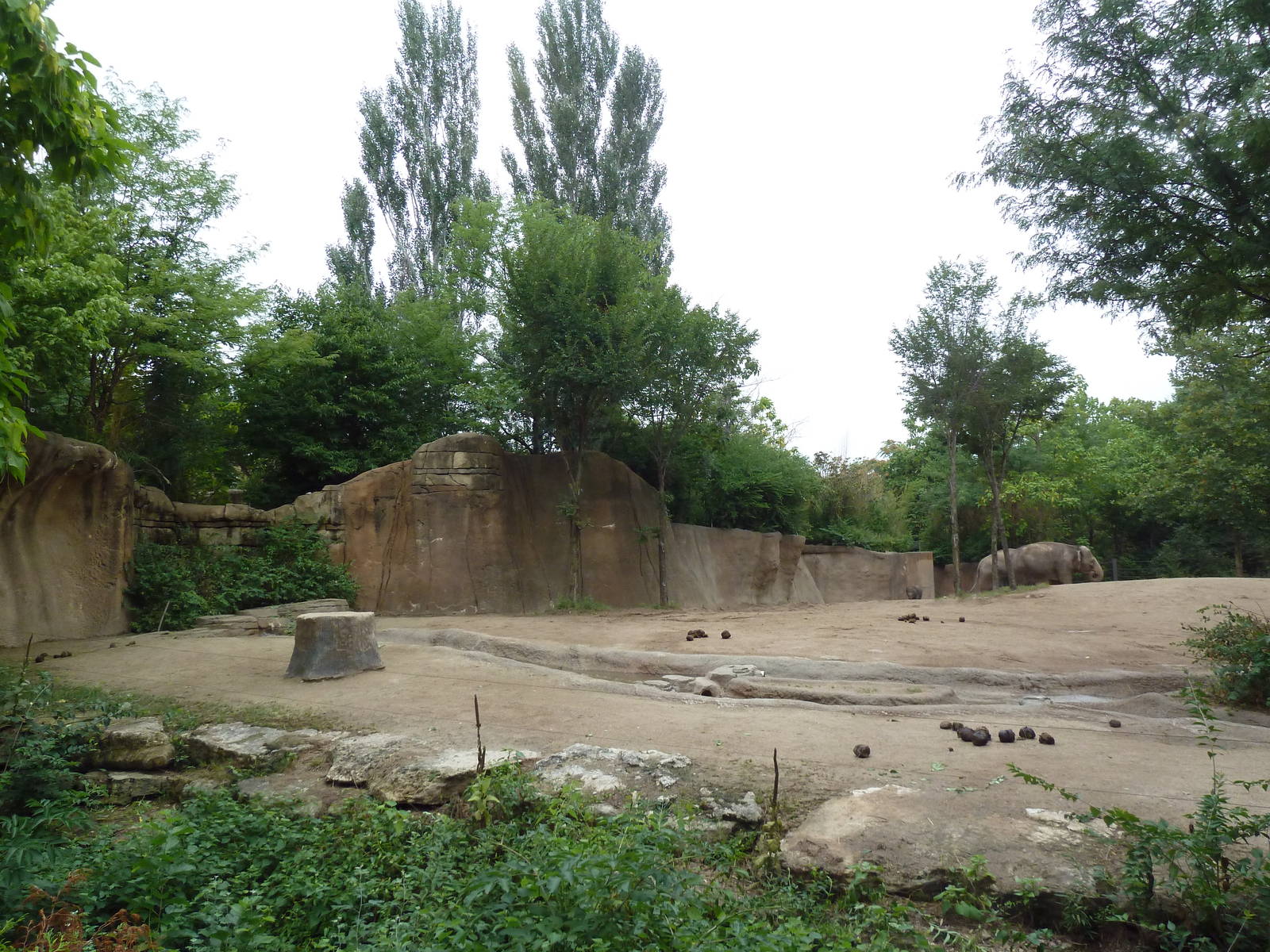 River's Edge - Asian Elephant Exhibit (1 of 4 Enclosures)