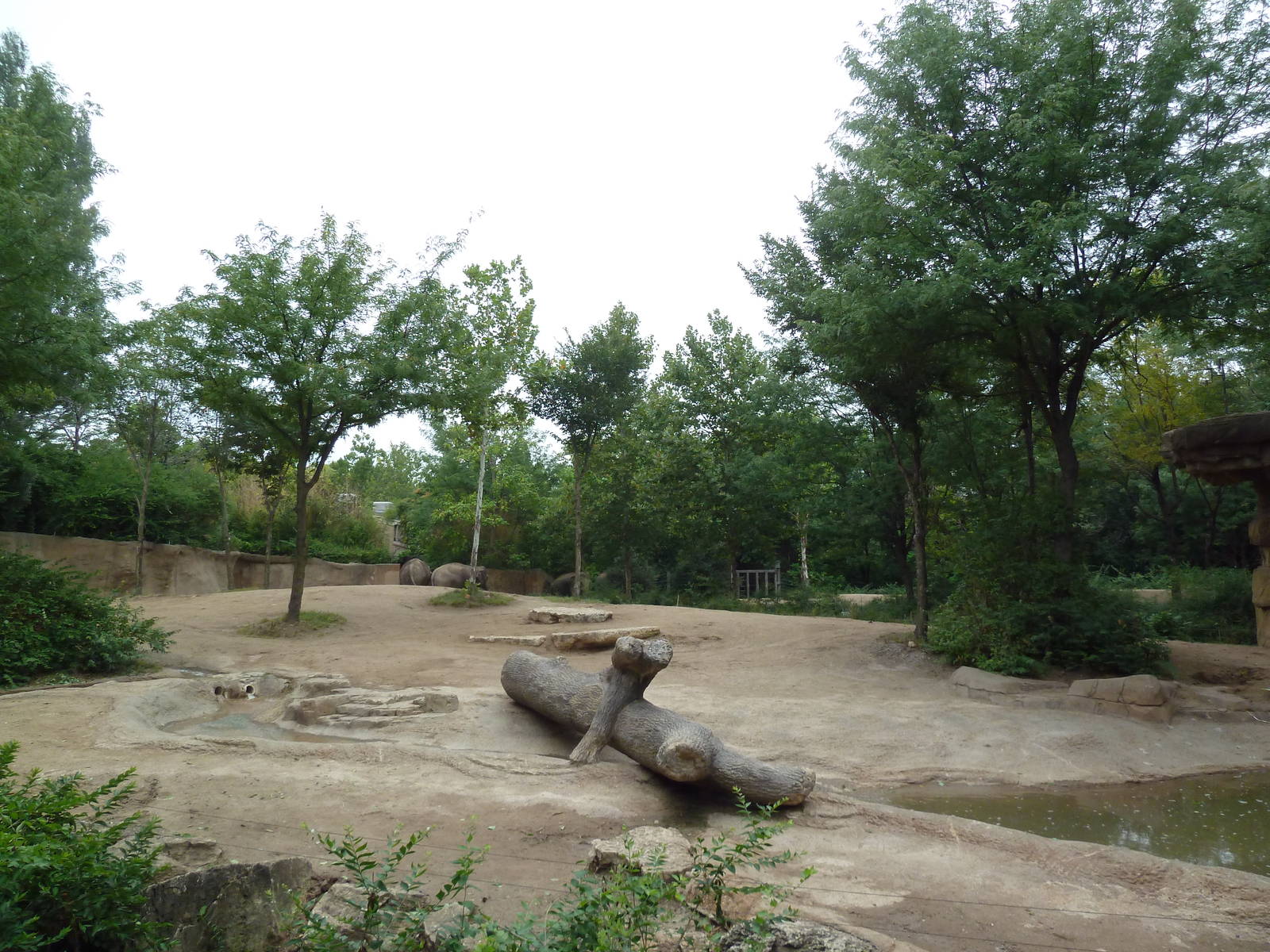 River's Edge - Asian Elephant Exhibit (1 of 4 Enclosures)