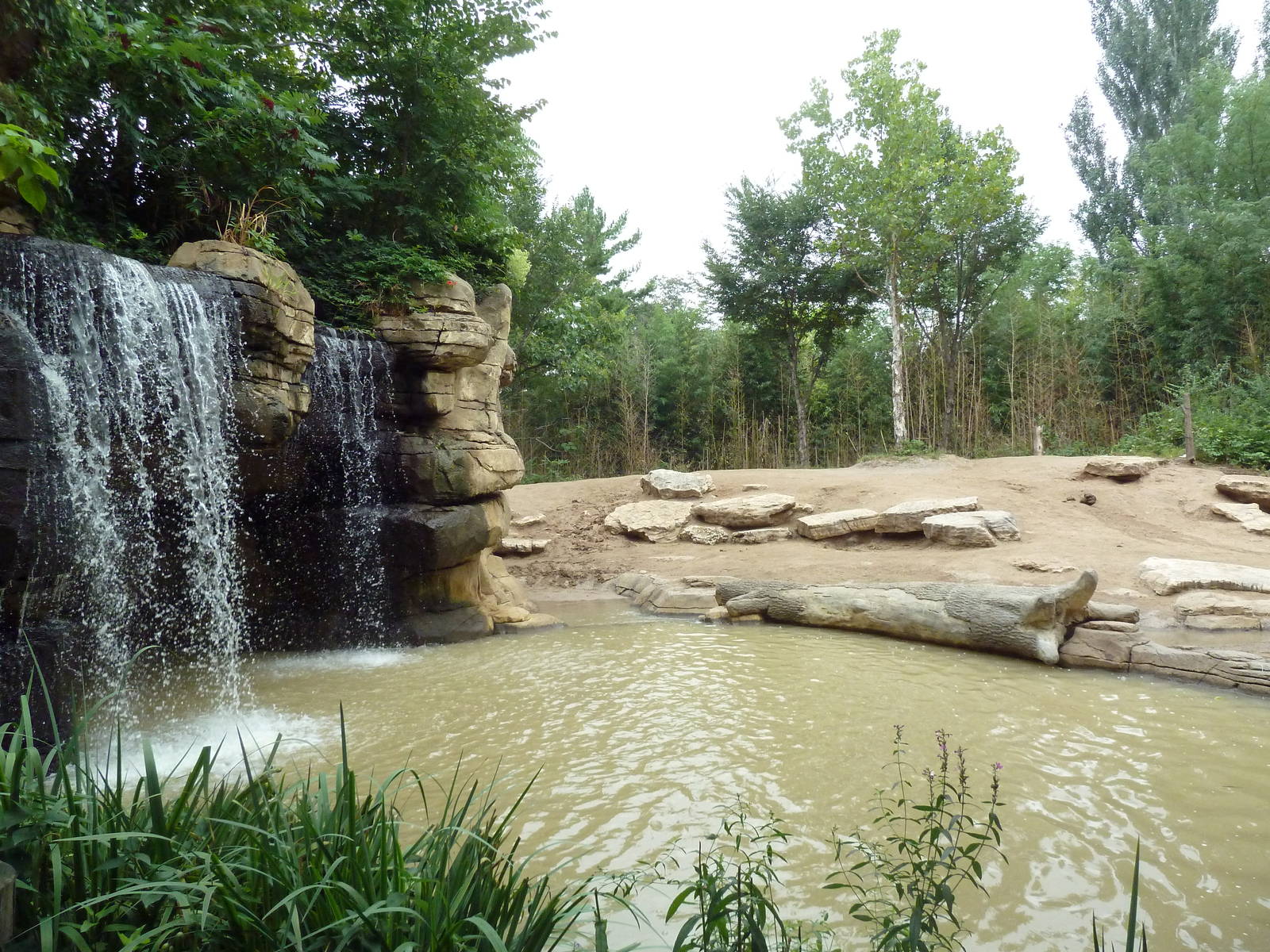 River's Edge - Asian Elephant Exhibit (1 of 4 Enclosures)