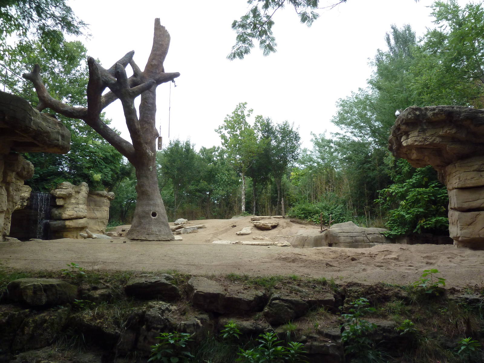 River's Edge - Asian Elephant Exhibit (1 of 4 Enclosures)