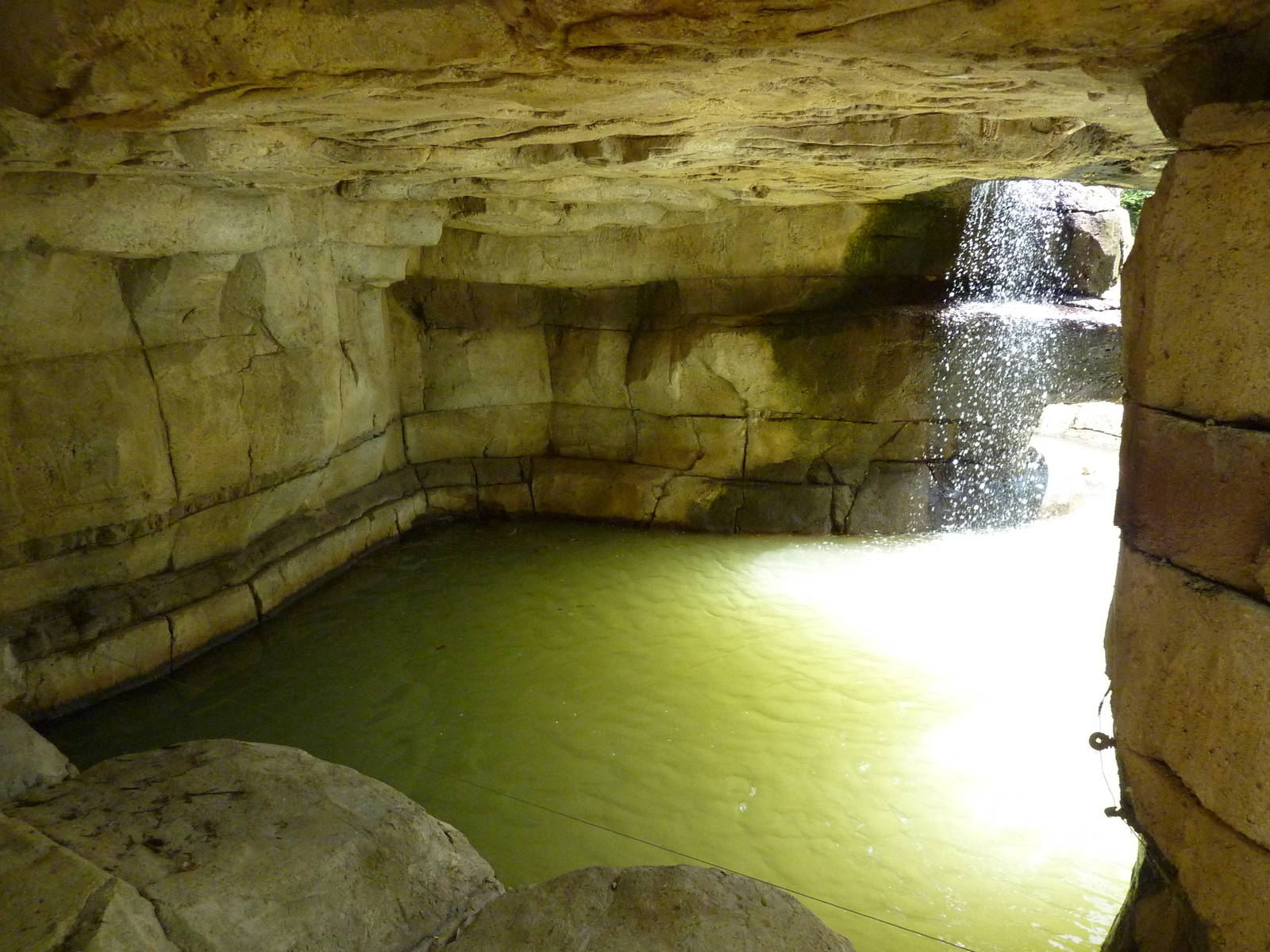 River's Edge - Asian Elephant Exhibit - Pool