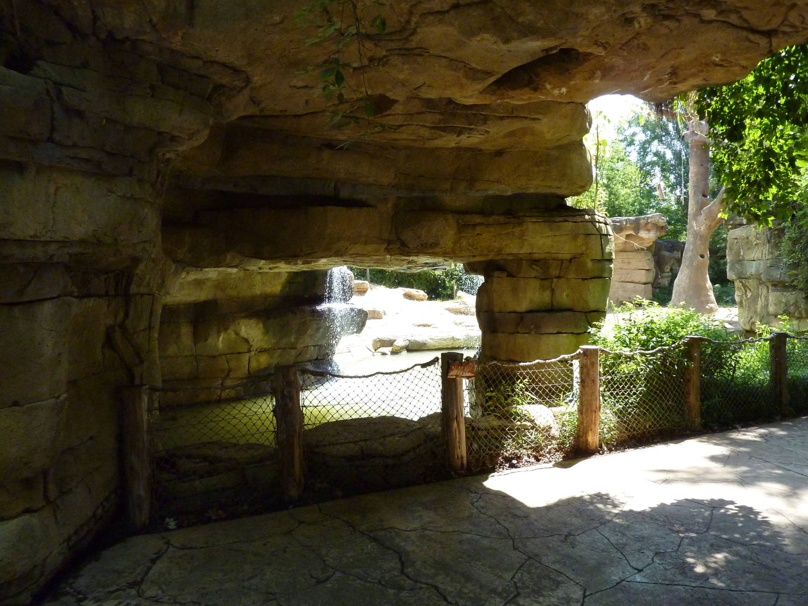 River's Edge - Asian Elephant Exhibit - Viewing Area