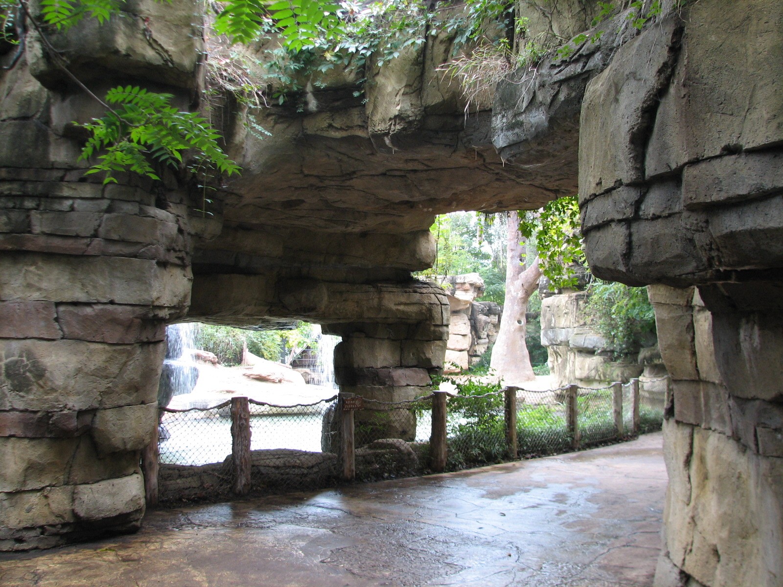 River's Edge - Asian Elephant Exhibit Viewing Area