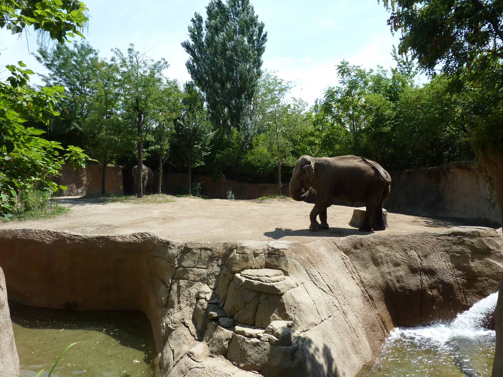 River's Edge - Asian Elephant Exhibit