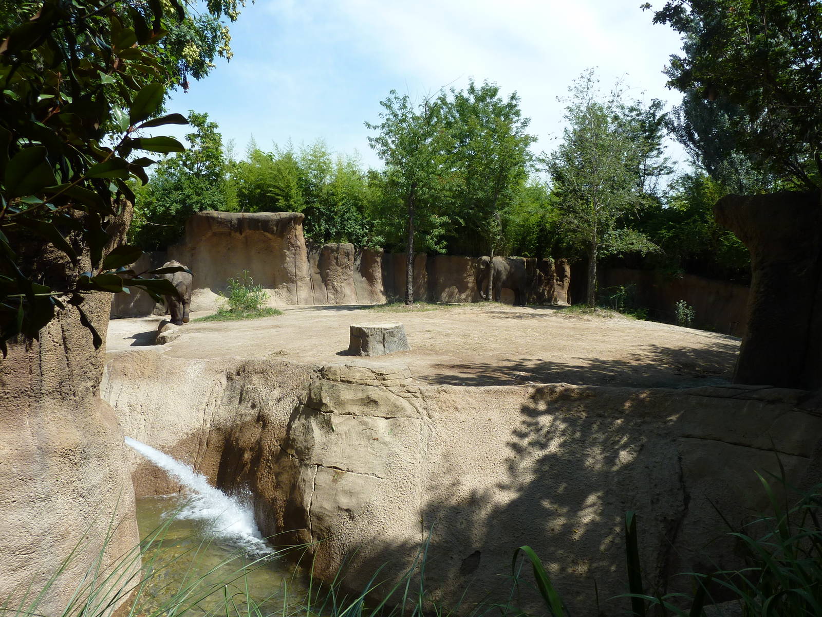 River's Edge - Asian Elephant Exhibit