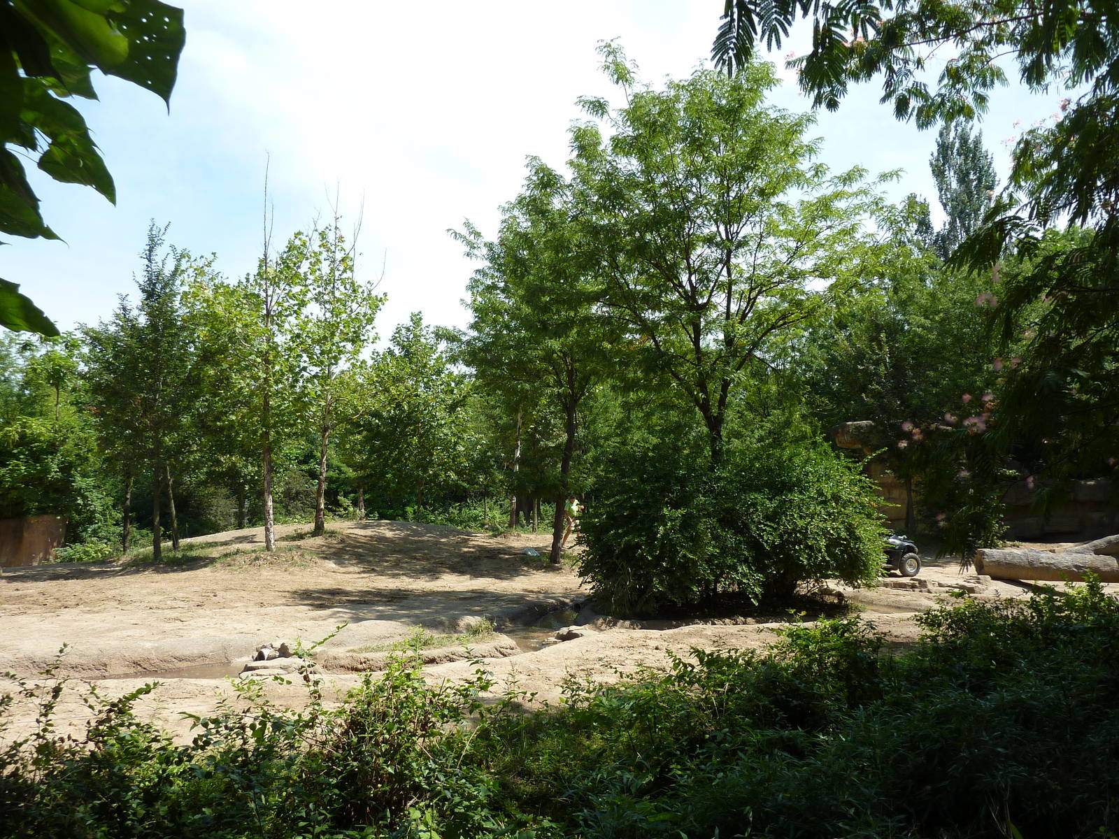 River's Edge - Asian Elephant Exhibit