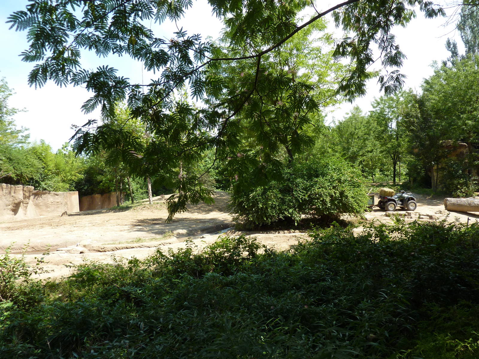 River's Edge - Asian Elephant Exhibit