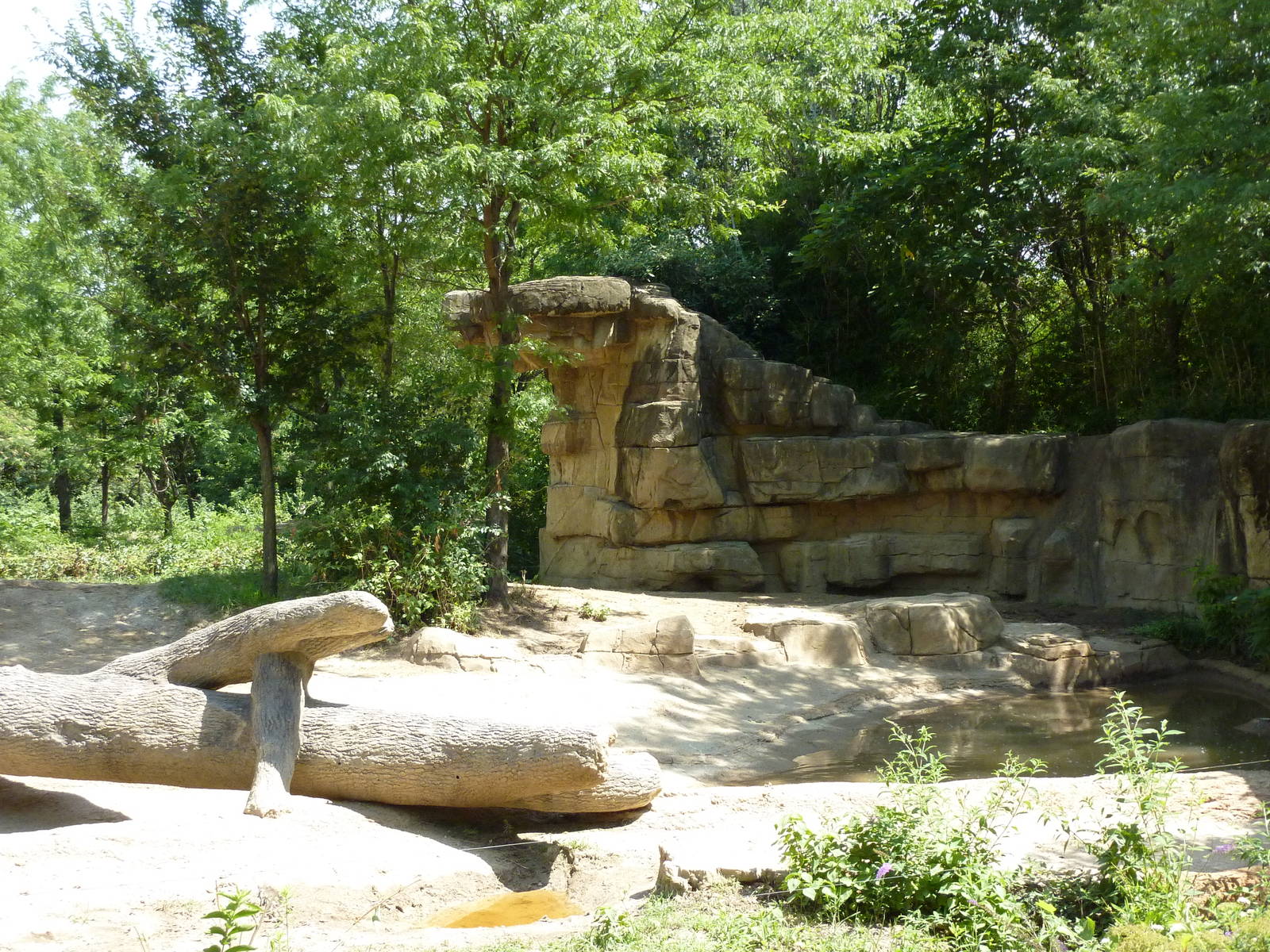 River's Edge - Asian Elephant Exhibit