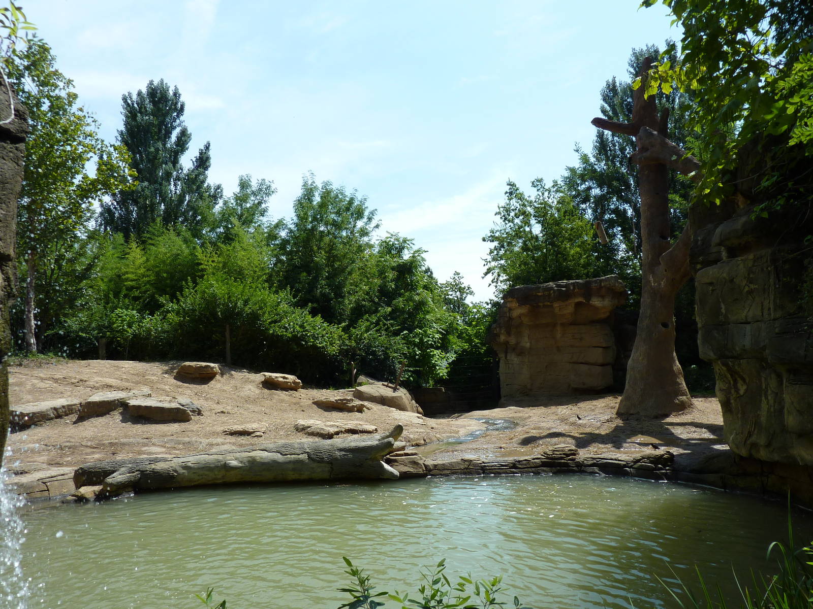 River's Edge - Asian Elephant Exhibit