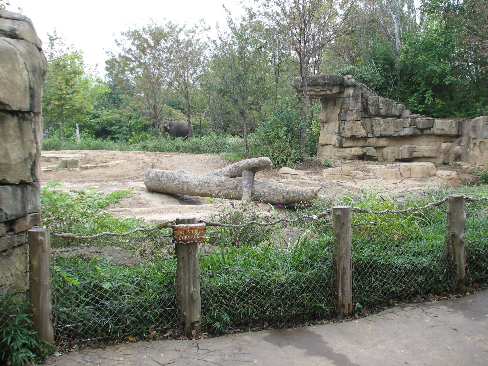 River's Edge - Asian Elephant Exhibit