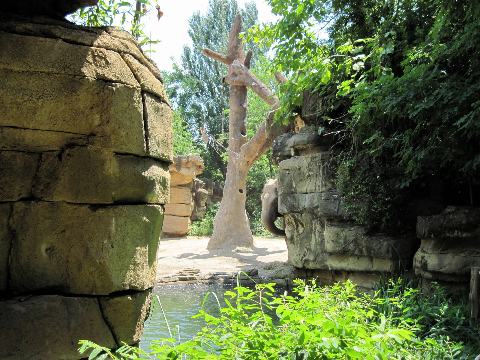 River's Edge-Asian Elephant