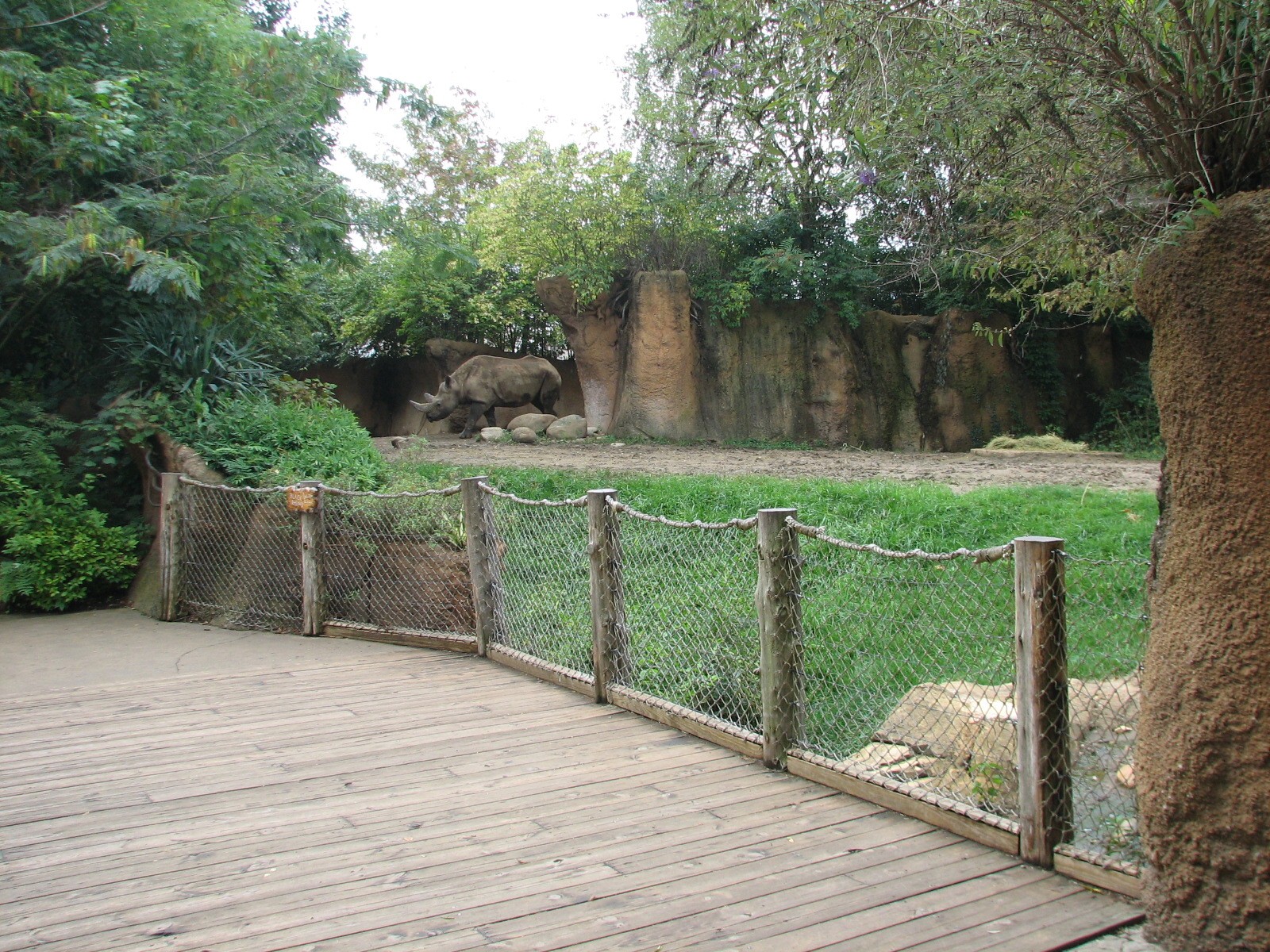River's Edge - Black Rhino Exhibit