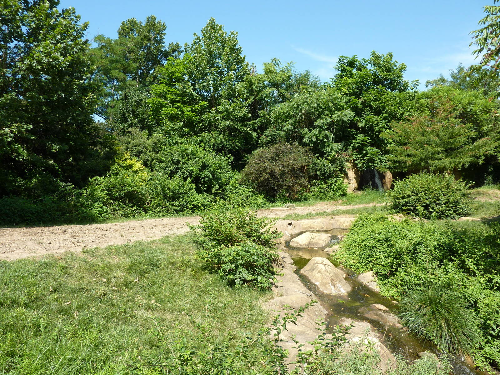 River's Edge - Black Rhino/Sacred Ibis Exhibit