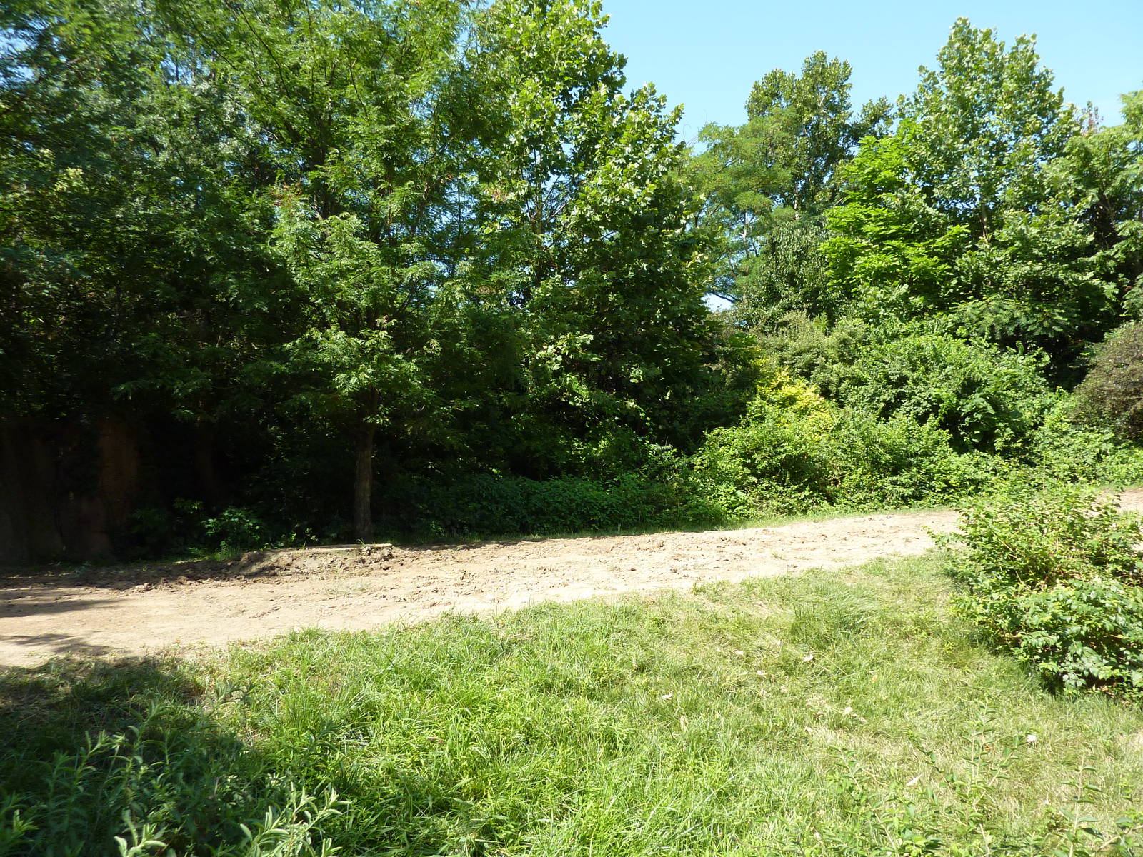 River's Edge - Black Rhino/Sacred Ibis Exhibit