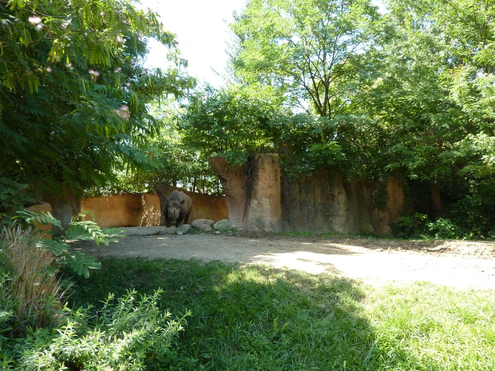 River's Edge - Black Rhino/Sacred Ibis Exhibit
