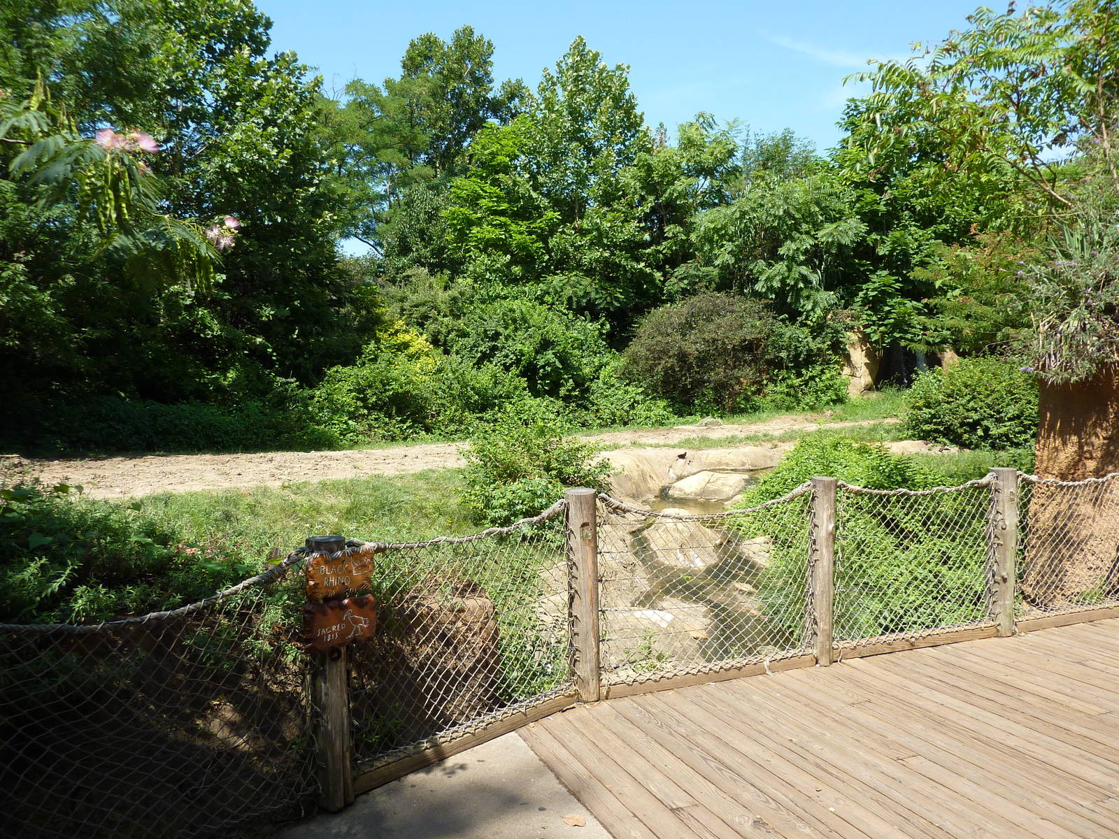 River's Edge - Black Rhino/Sacred Ibis Exhibit