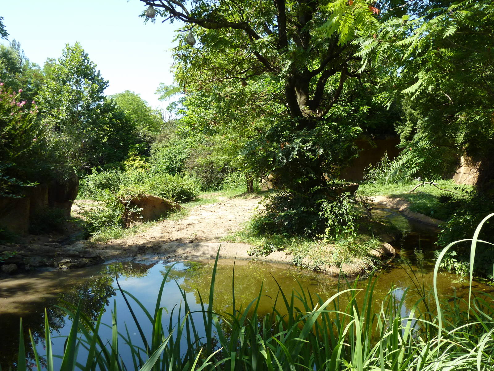 River's Edge - Black Rhino/Sacred Ibis Exhibit