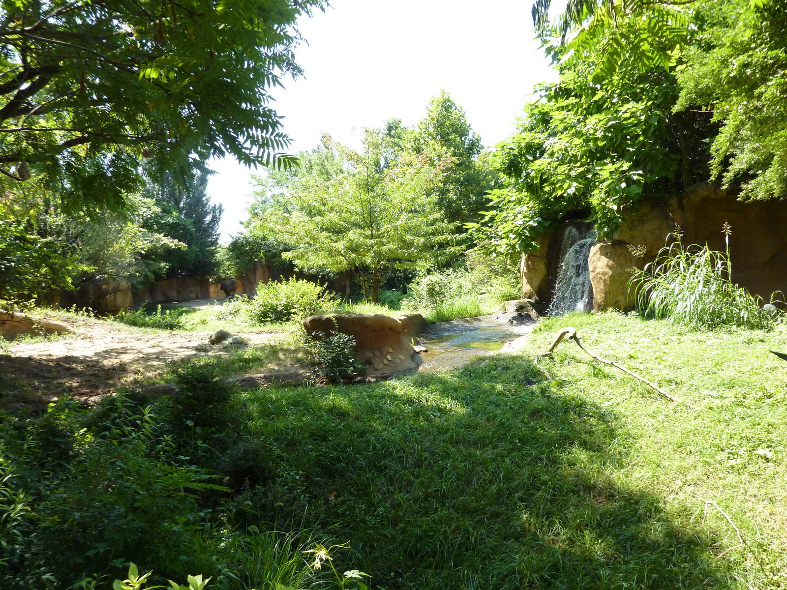 River's Edge - Black Rhino/Sacred Ibis Exhibit