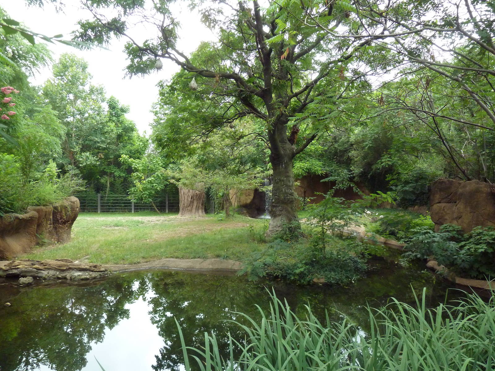 River's Edge - Black Rhino/Sacred Ibis Exhibit