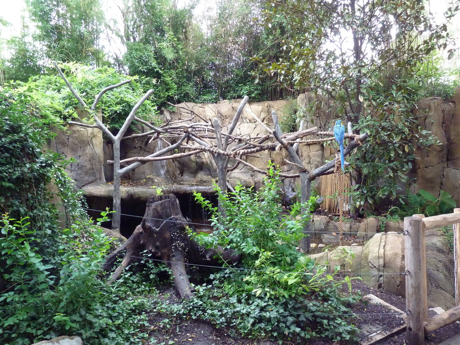 River's Edge - Blue-and Gold Macaw Exhibit