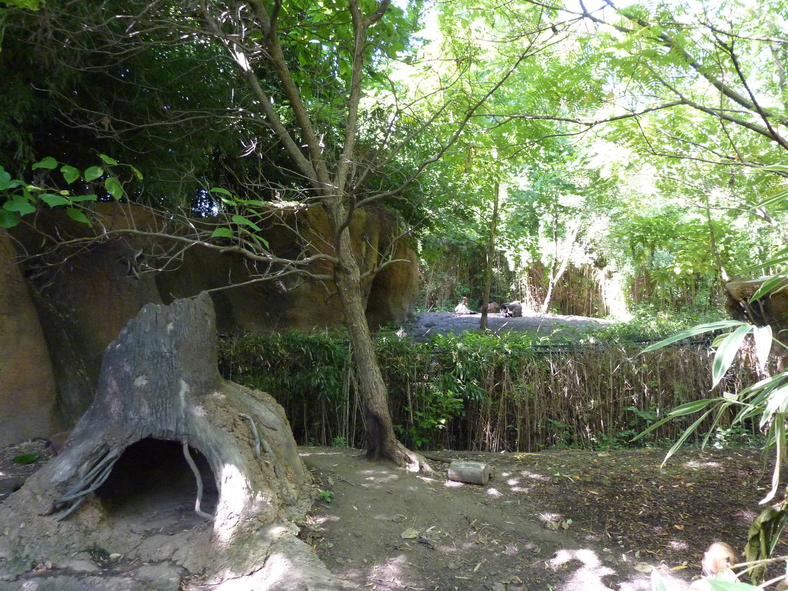 River's Edge - Bush Dog Exhibit