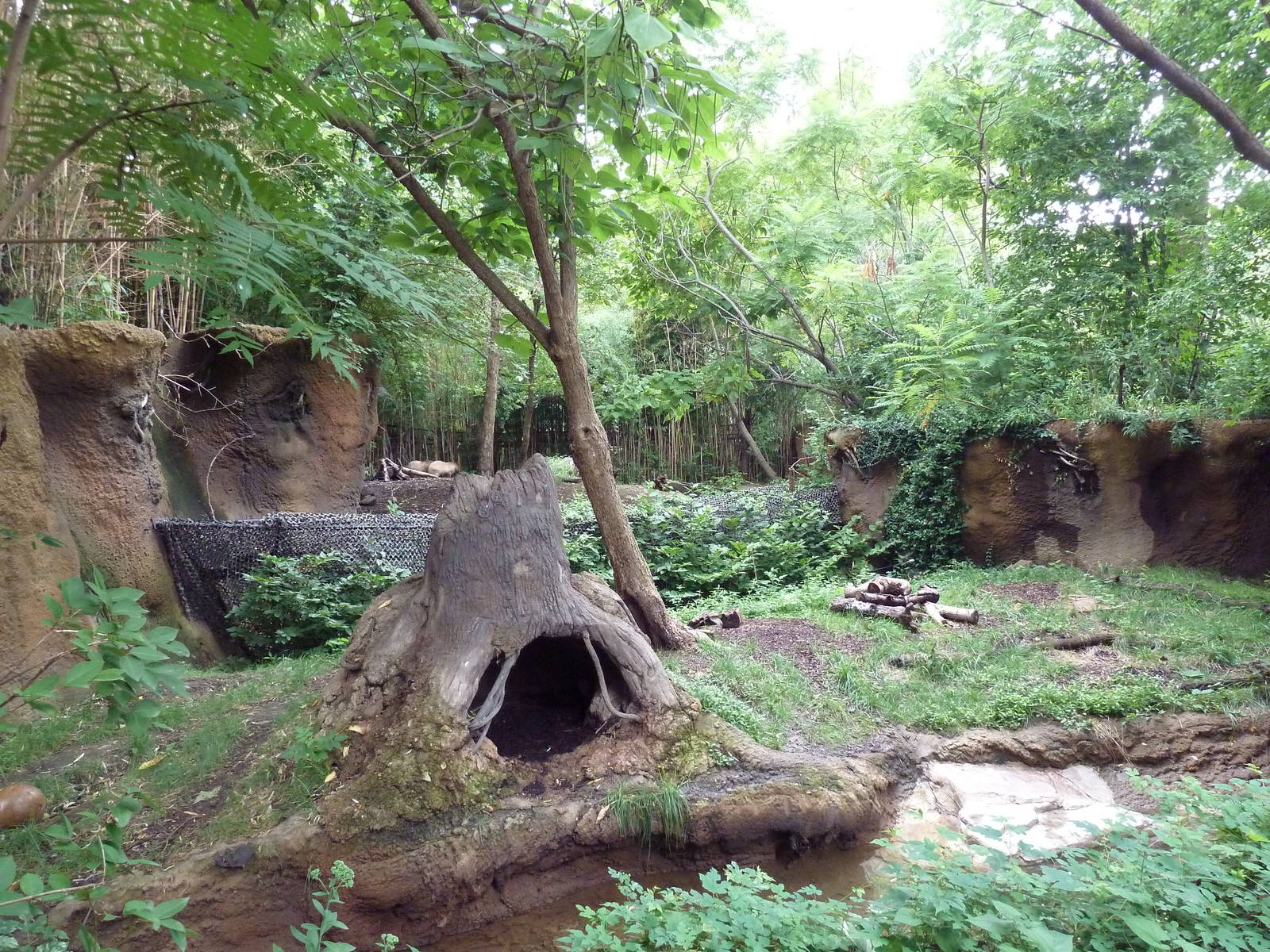 River's Edge - Bush Dog Exhibit