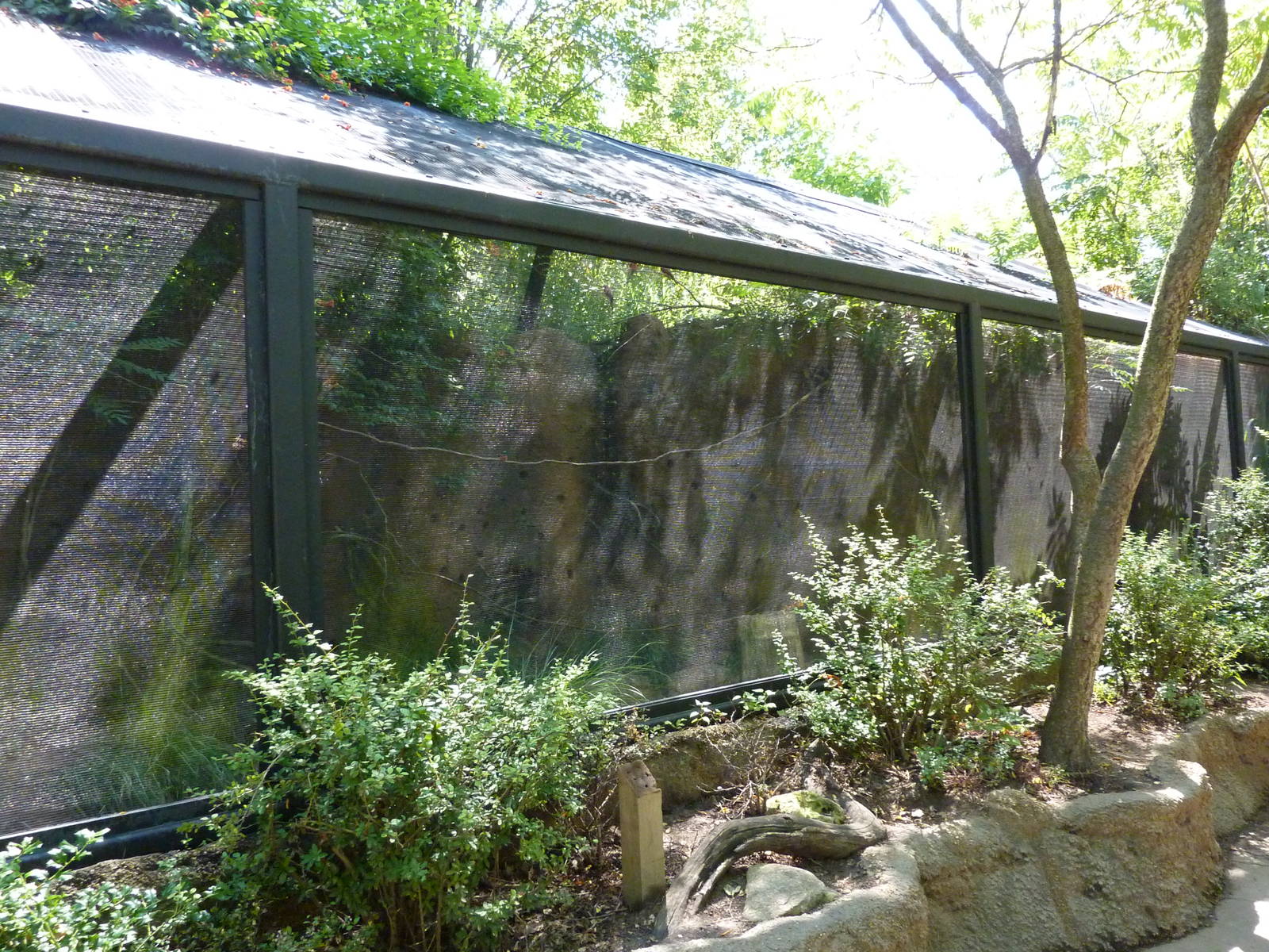 River's Edge - Carmine Bee-Eater Aviary