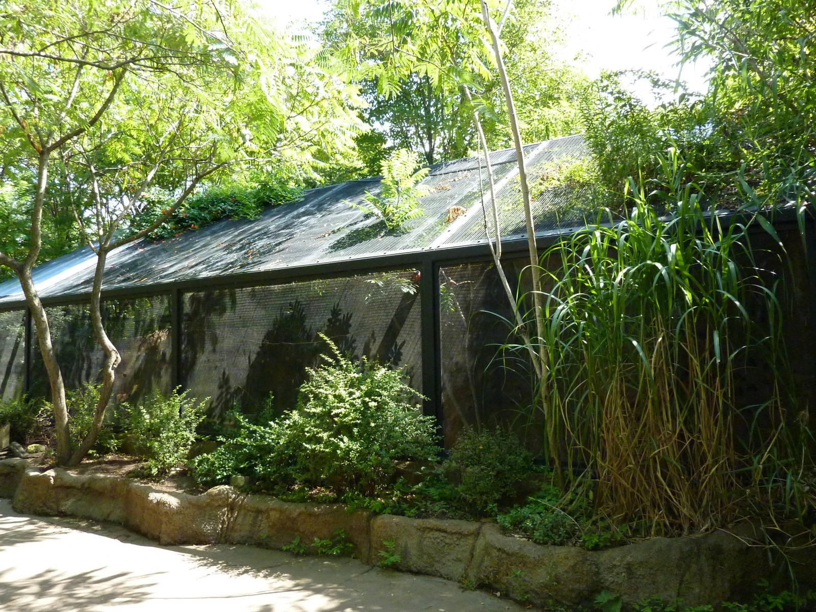 River's Edge - Carmine Bee-Eater Exhibit