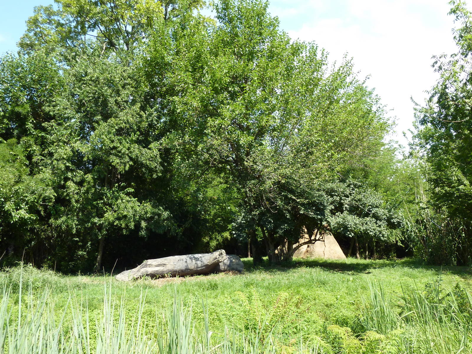 River's Edge - Cheetah Exhibit