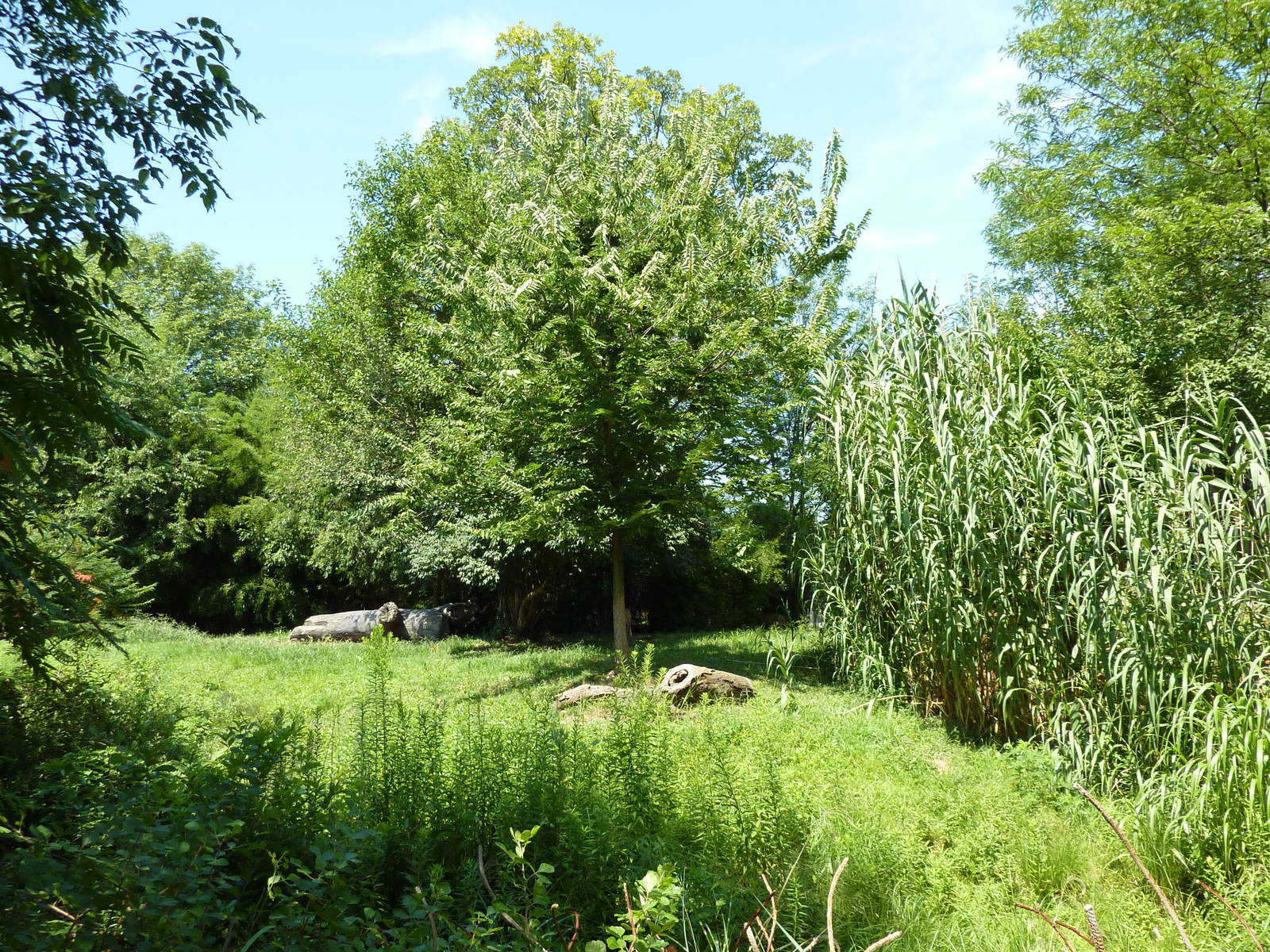 River's Edge - Cheetah Exhibit