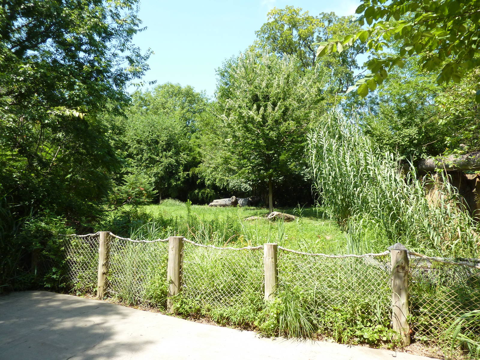 River's Edge - Cheetah Exhibit