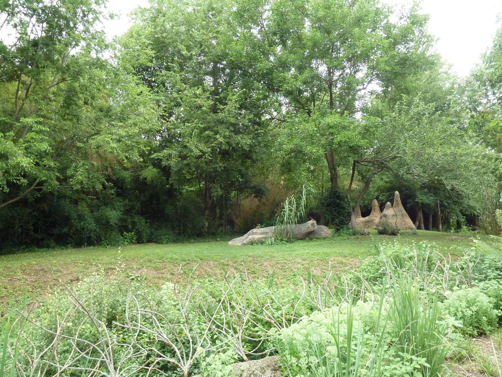 River's Edge - Cheetah Exhibit